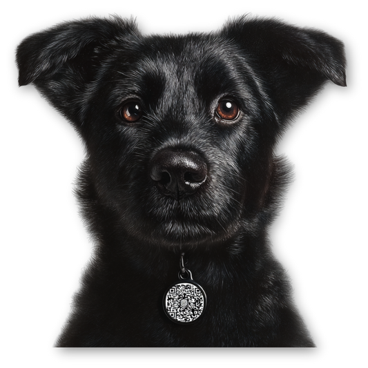 Medalla Inteligente Personalizada para Mascotas – con QR de Contacto